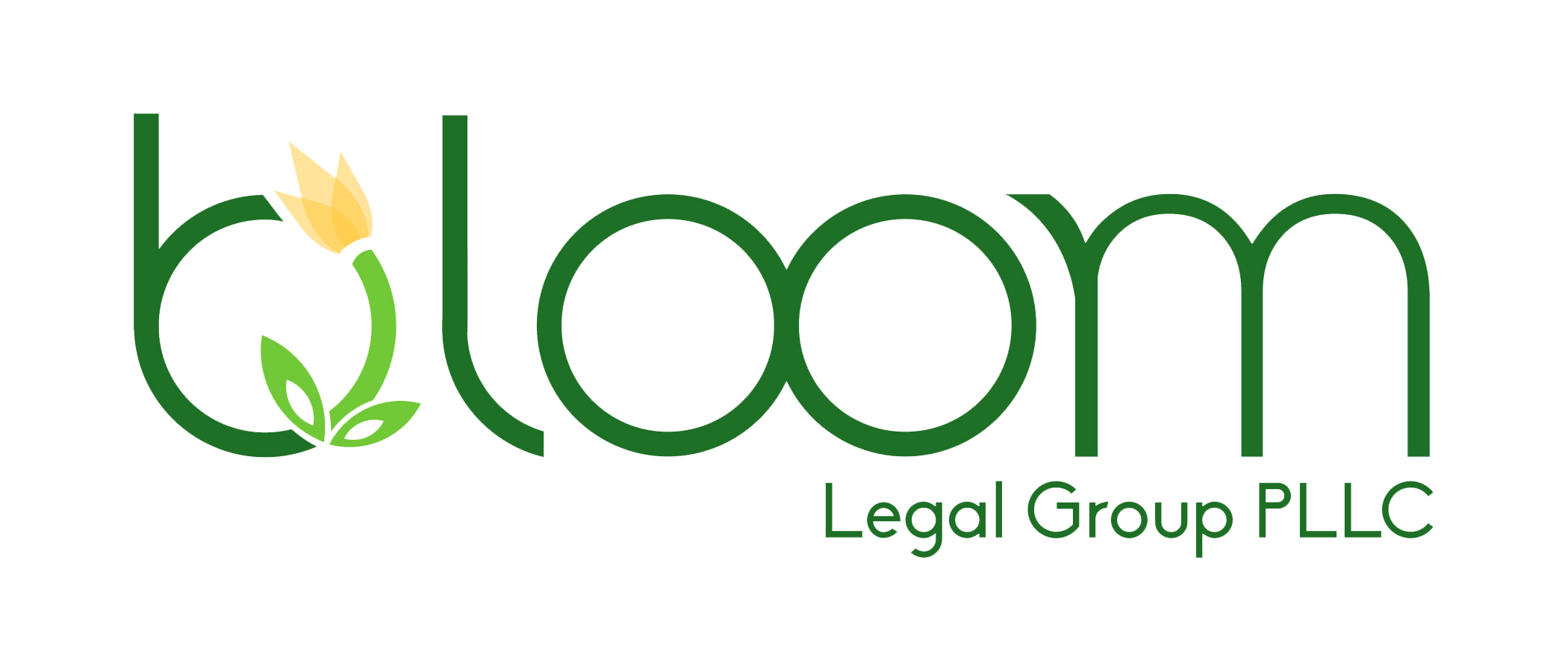 Bloom Legal Group PLLC